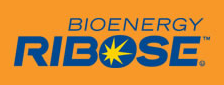 BioEnergyRibose.png